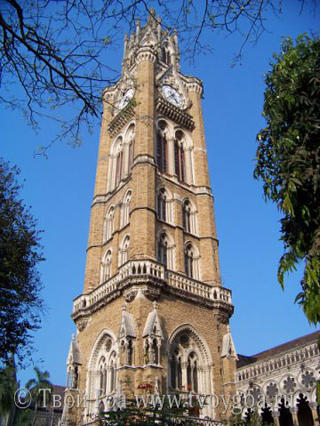 фото Мумбай_университет Мумбая имеет свой Биг Бен