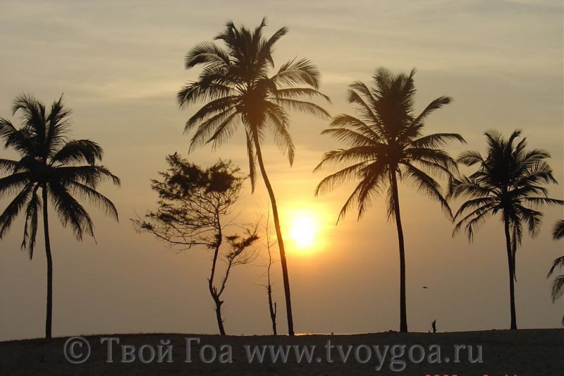 фото пляжей Северный Гоа и Южный Гоа_8