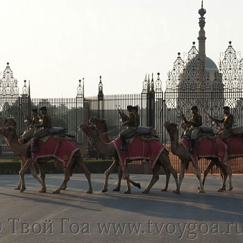 фото Дели и Агра_караул возле Президенского Дворца