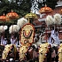 Триссур Пурам - фестиваль слонов и зонтов