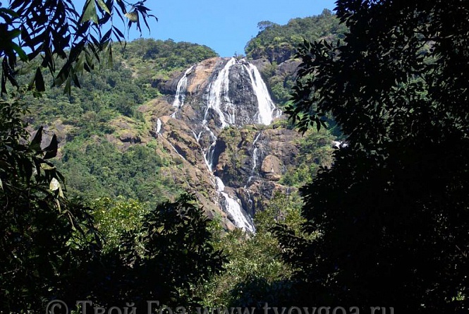 фото водопад Дудхсагар