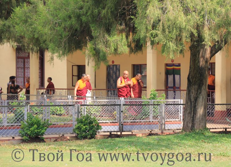 фото Тибетское поселение и золотой Будда_22
