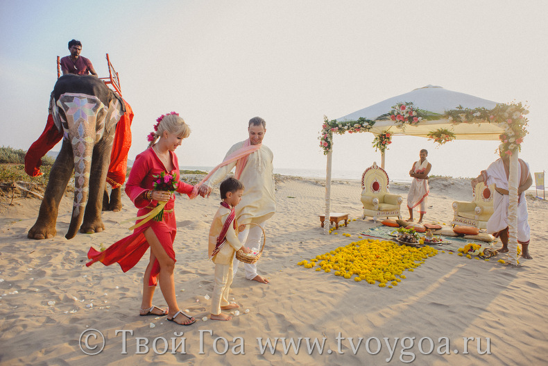 свадьба со слоном на пляже в индийском стиле