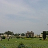 величественный Дворцовый комплекс Махараджей