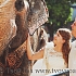 слон на свадьбе
